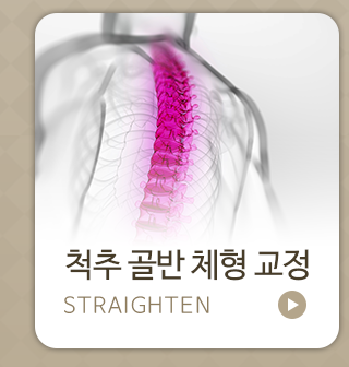 척추골반체형교정